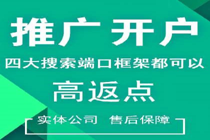 案例剖析：百度SEO推广公司如何助力企业飞速发展